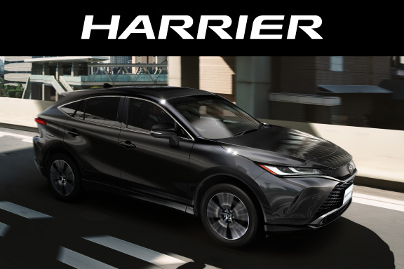 ハリアー タペストリー 180cm✕180cm 化学繊維布地 棒無し ハリアー