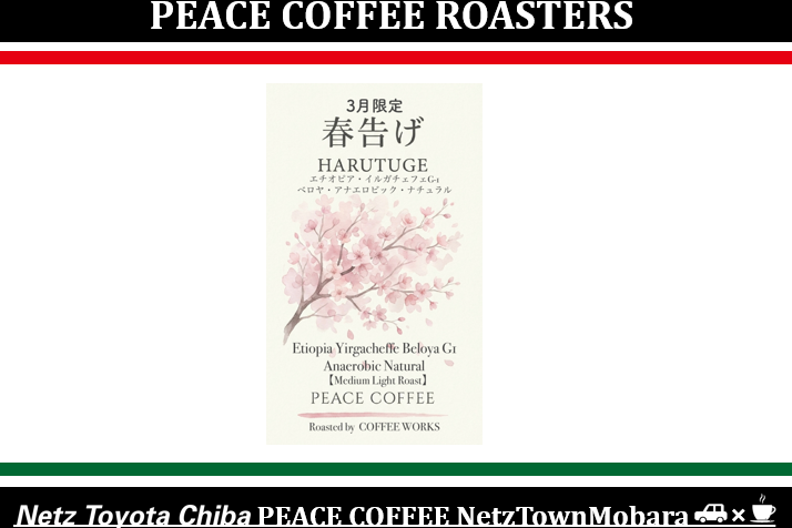 3月　限定豆　ピースコーヒー　PEACE　COFFEE